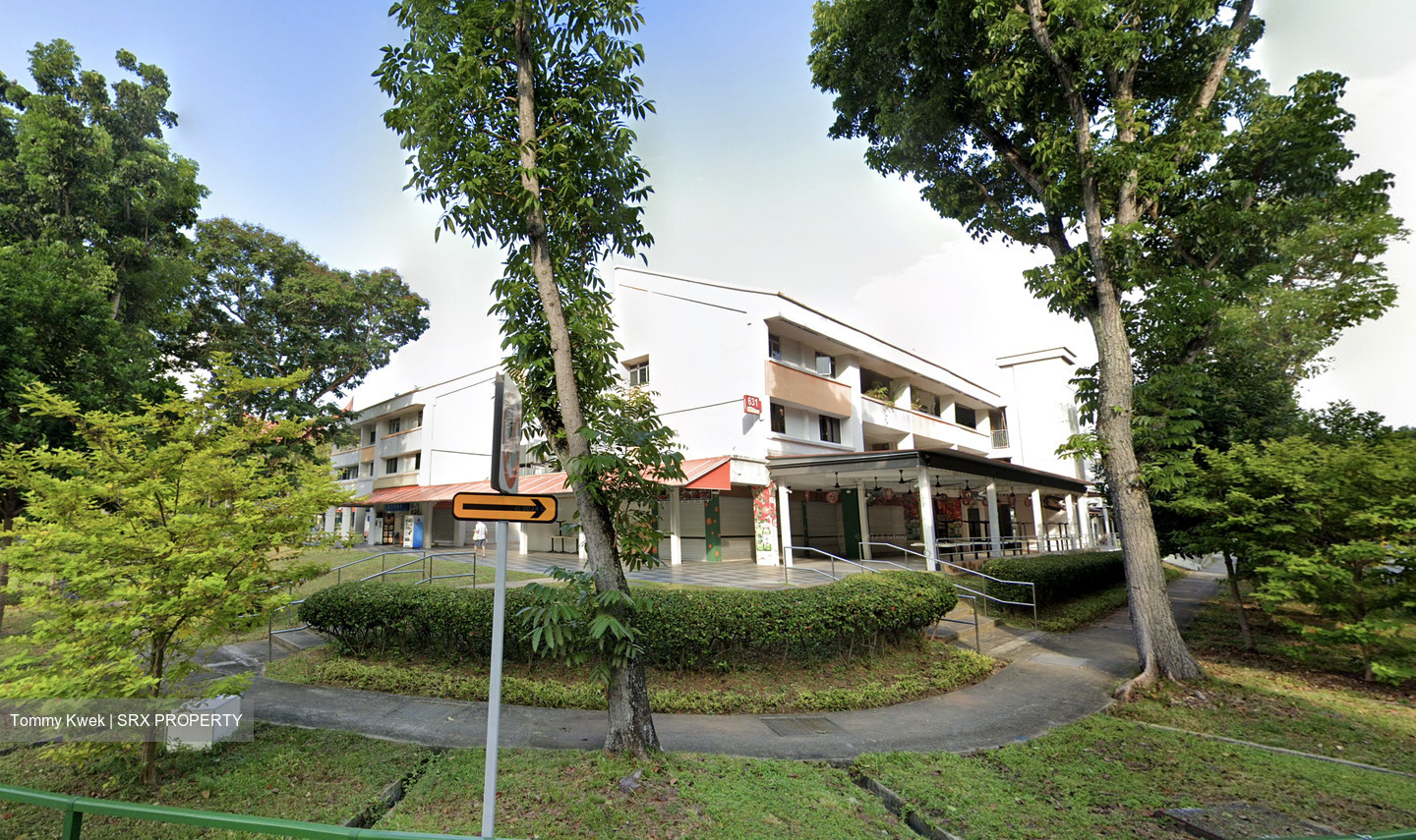 EUNOS GROVE (D16), Shop House #609719011